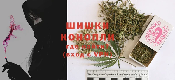 гашик Михайлов