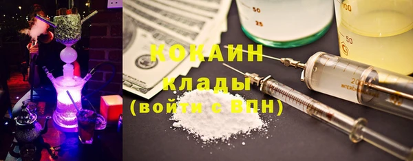 гашик Михайлов