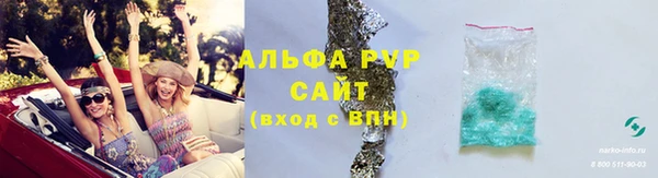 гашик Михайлов
