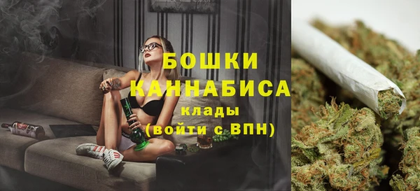 гашик Михайлов