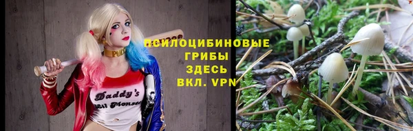 гашик Михайлов