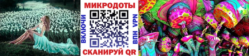 продажа наркотиков Среднеуральск Псилоцибиновые грибы мицелий