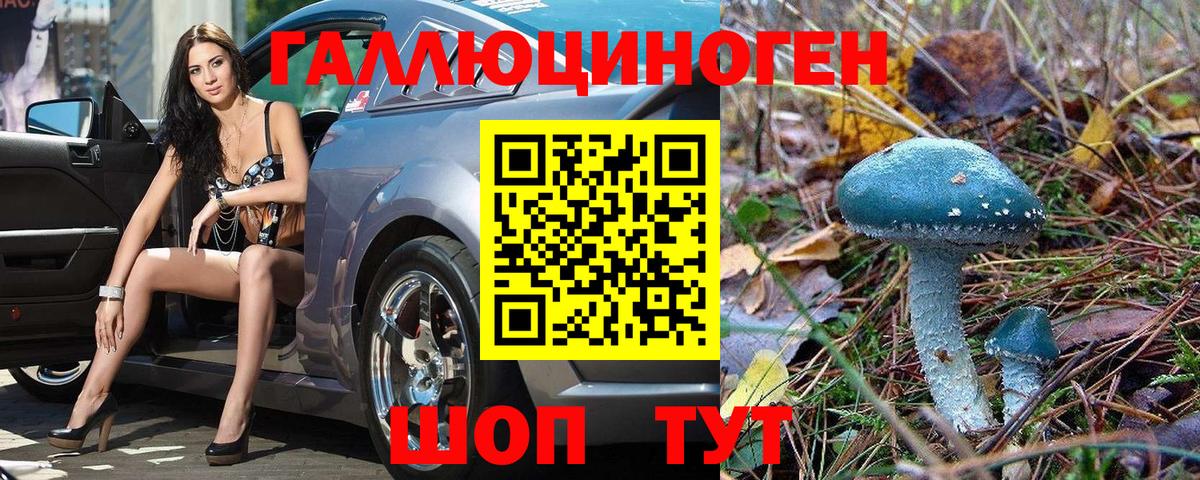Галлюциногенные грибы Среднеуральск