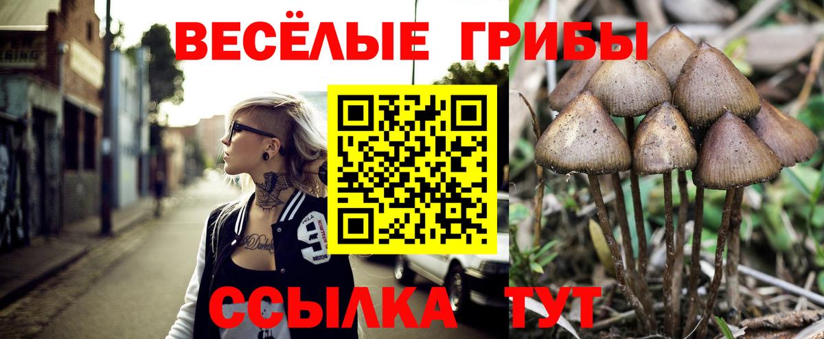 даркнет сайт  Галлюциногенные грибы Psilocybine cubensis  Вход с VPN  Среднеуральск 